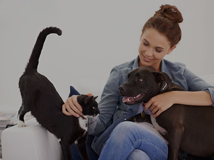 pet parent petting dog and cat