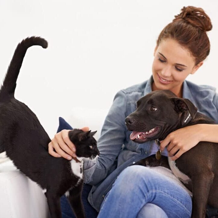 pet-parent-with-dog-cat pet parent petting dog and cat